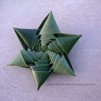 How to make coconut leaf star